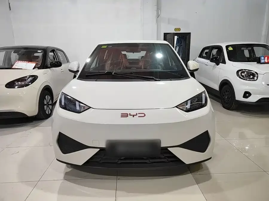 BYD Seagull