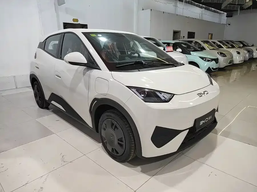 BYD Seagull