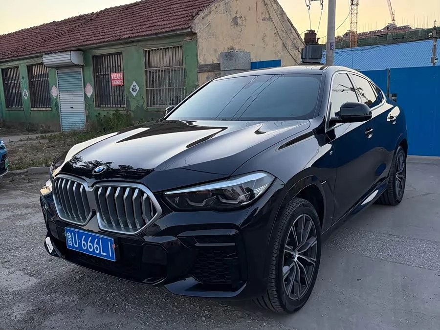BMW X6