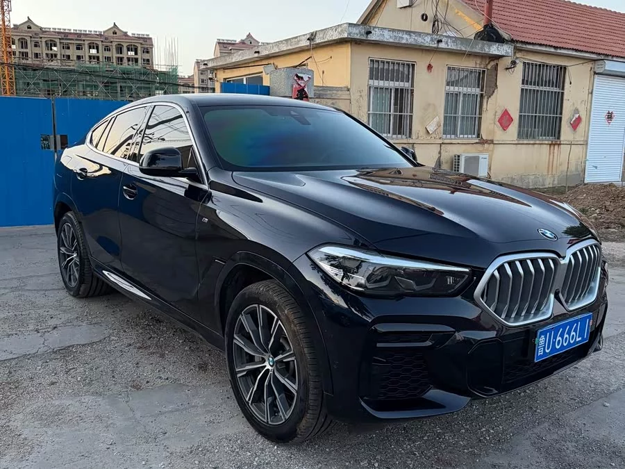 BMW X6