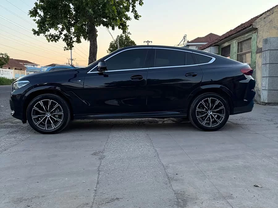 BMW X6
