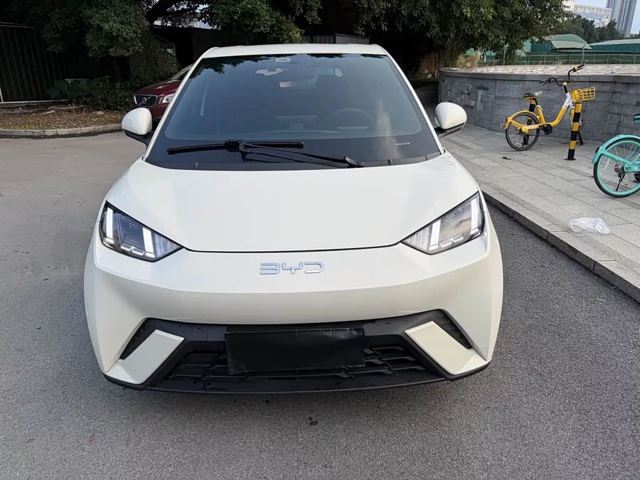 BYD Seagull
