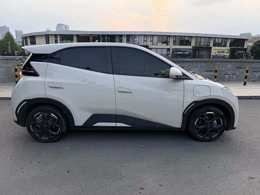 BYD Seagull