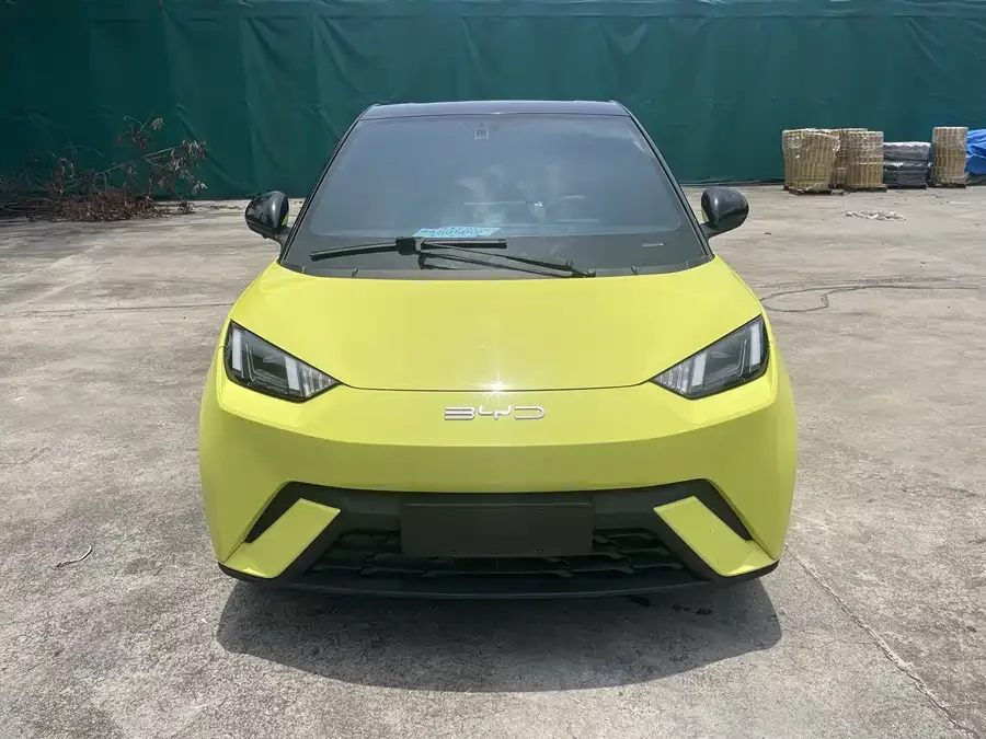 BYD Seagull