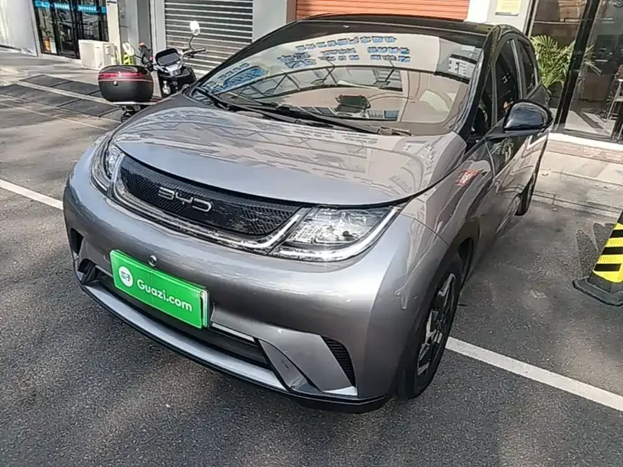 BYD Dolphin