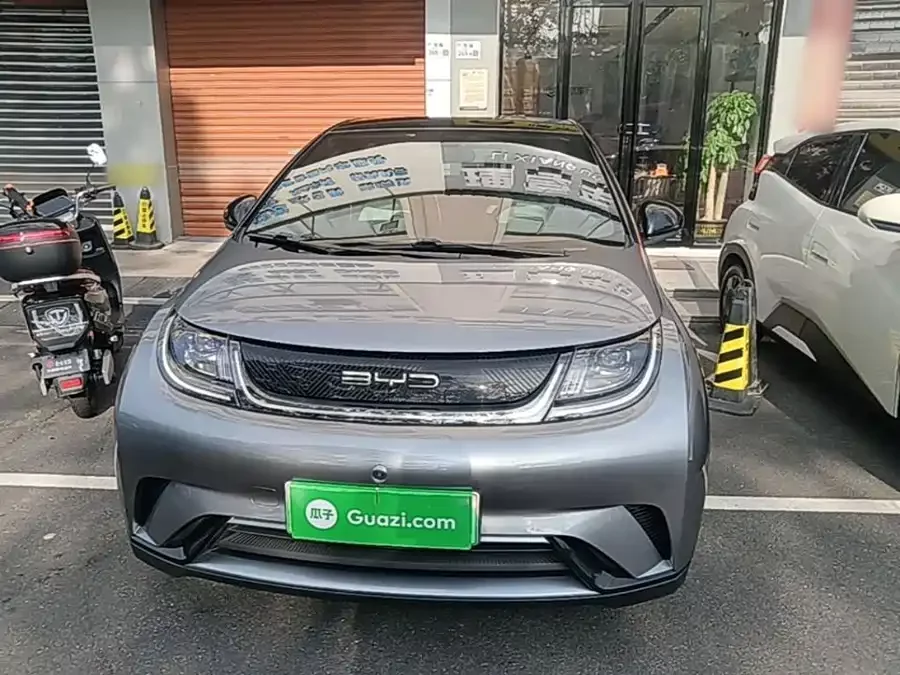 BYD Dolphin