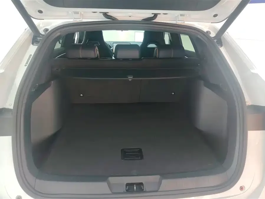 BYD Song PLUS New Energy