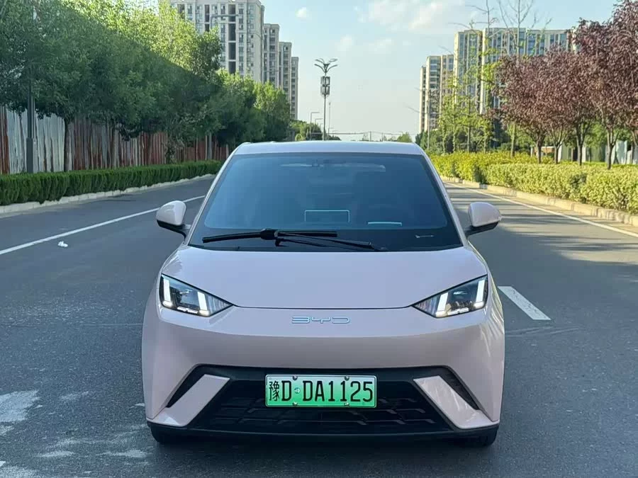BYD Seagull