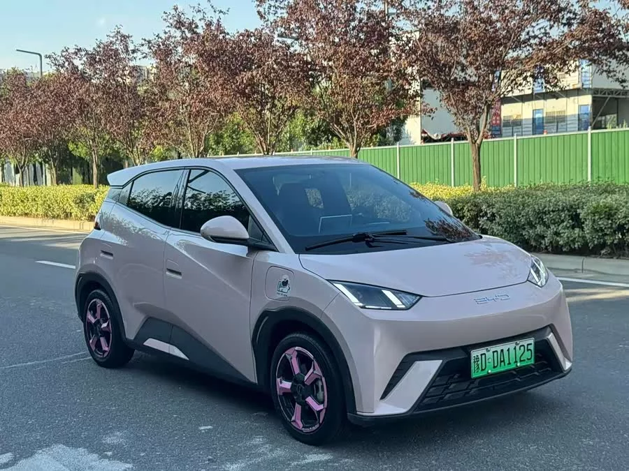 BYD Seagull