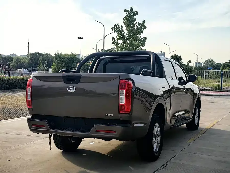 Great Wall gun