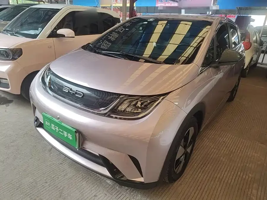 BYD Dolphin