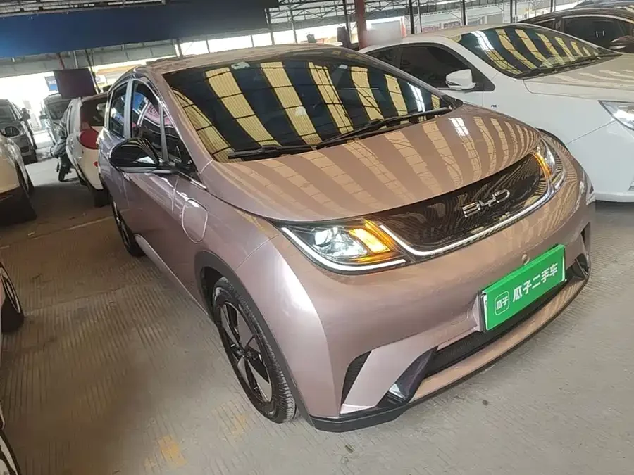 BYD Dolphin