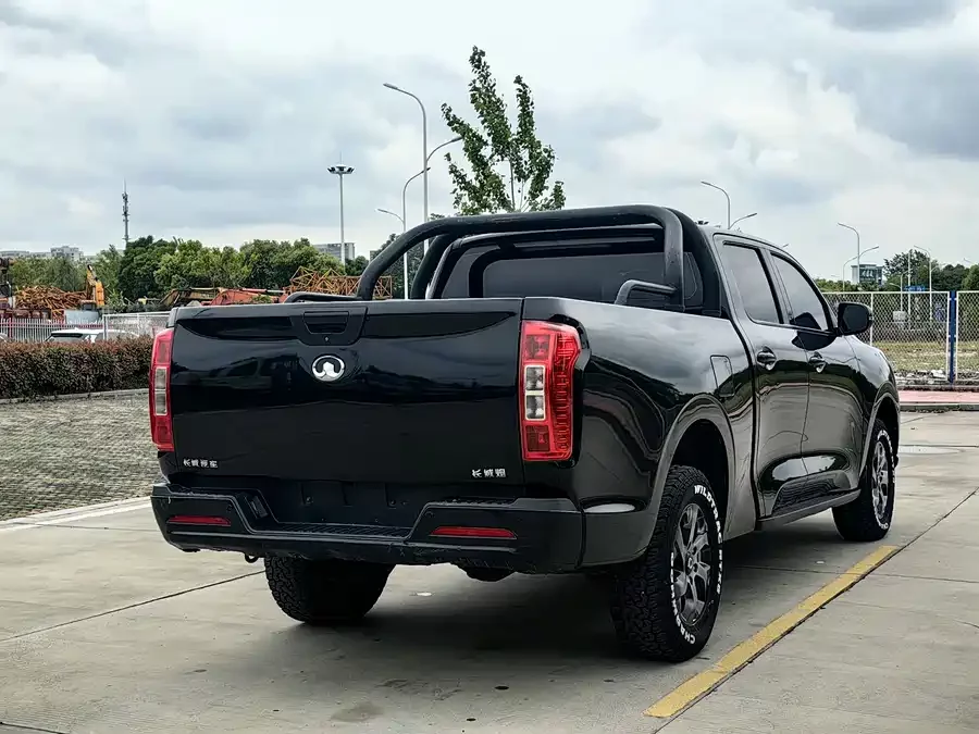 Great Wall gun