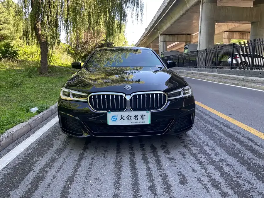 BMW 5 Series New Energy