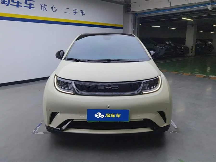 BYD Dolphin