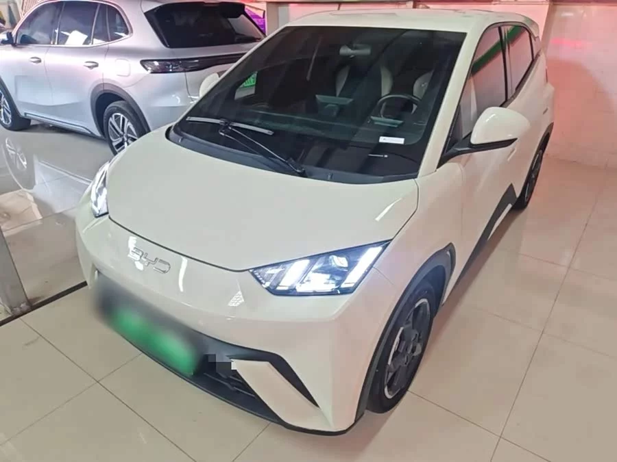 BYD Seagull