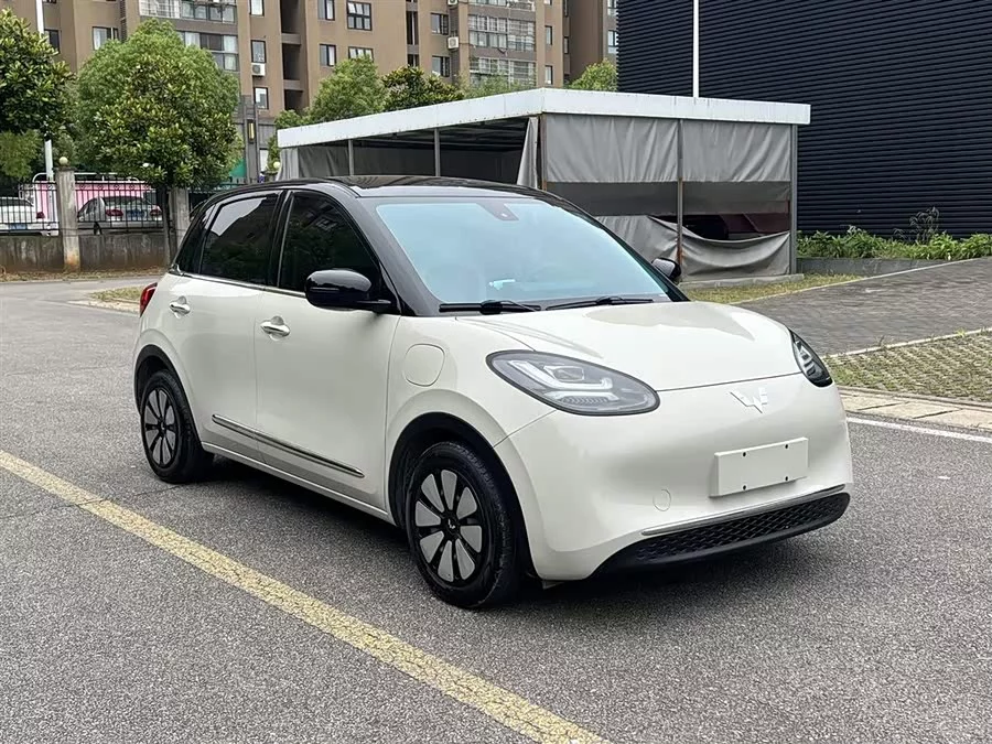 Wuling Bingo