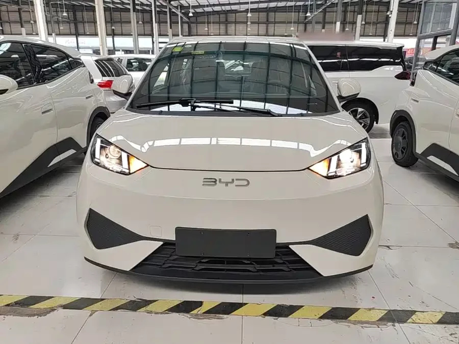BYD Seagull