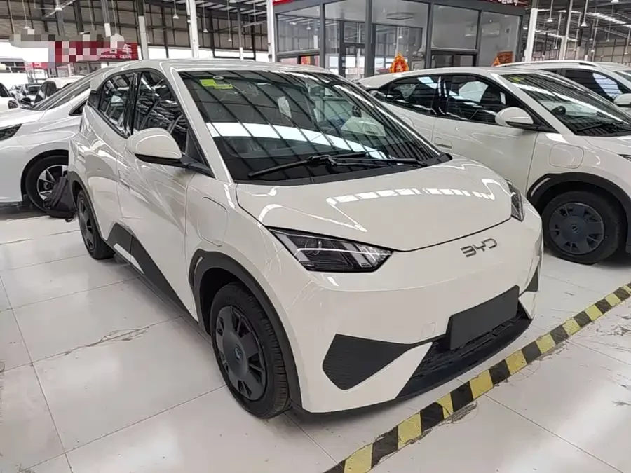 BYD Seagull