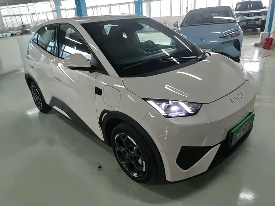 BYD Seagull