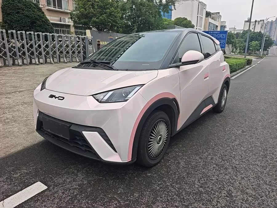 BYD Seagull