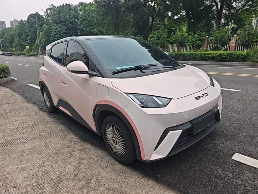 BYD Seagull