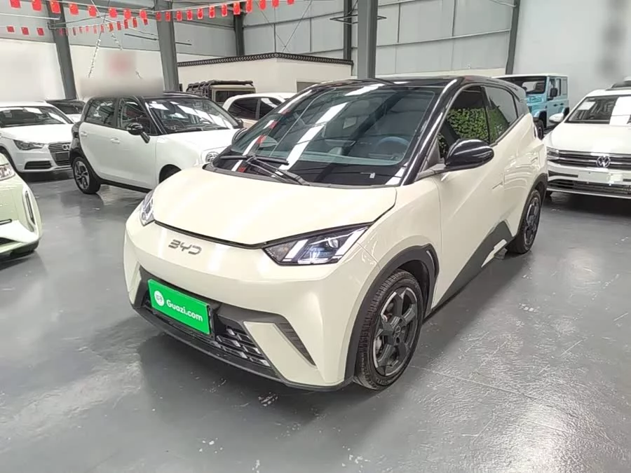 BYD Seagull