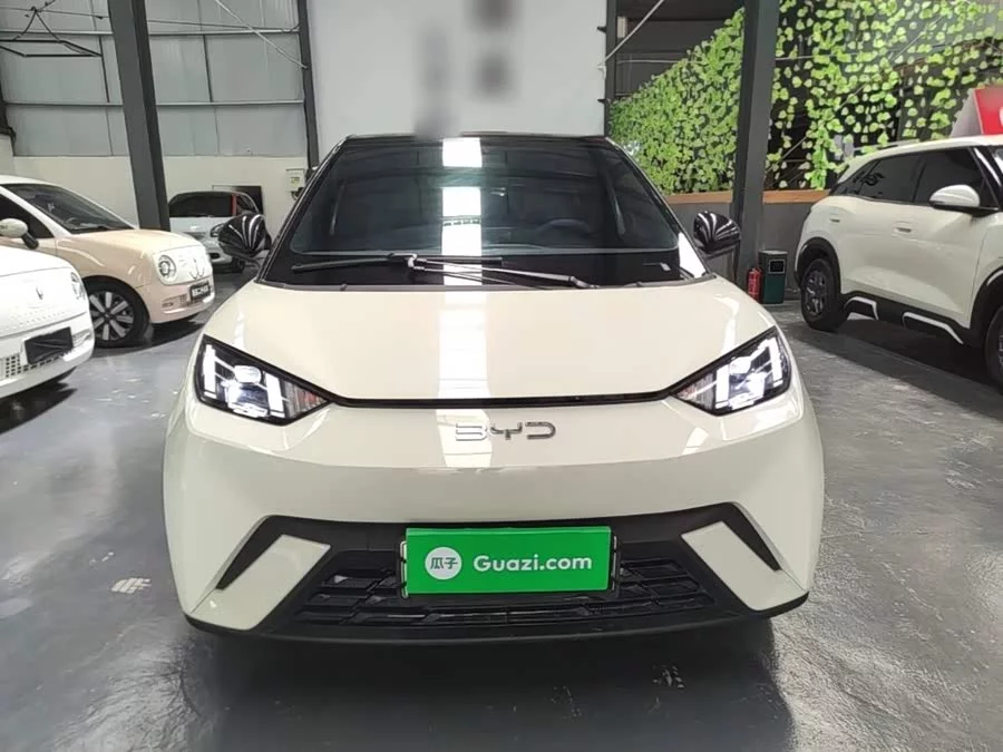 BYD Seagull