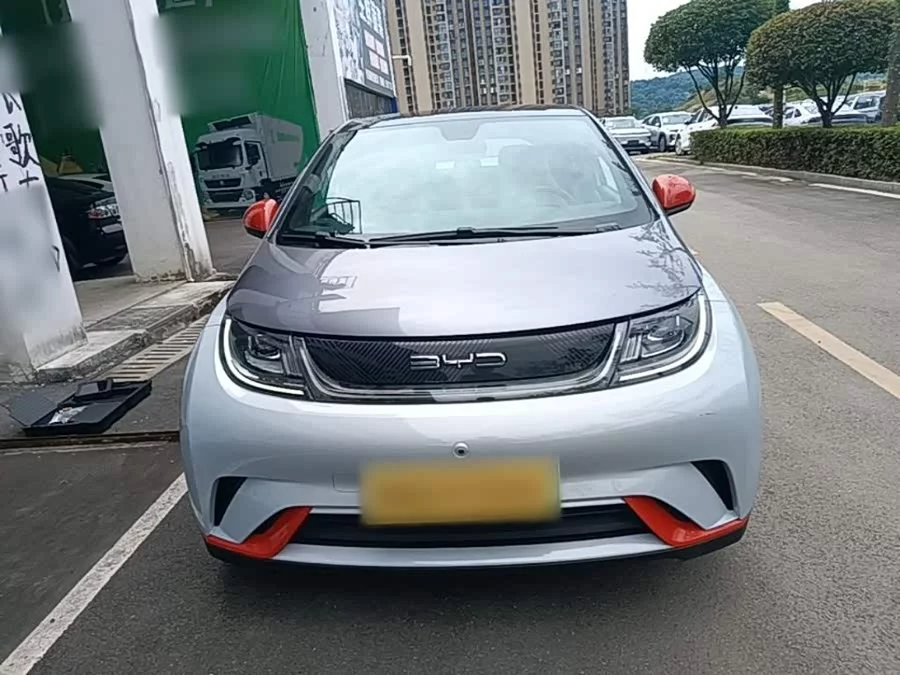 BYD Dolphin