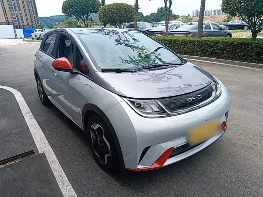 BYD Dolphin
