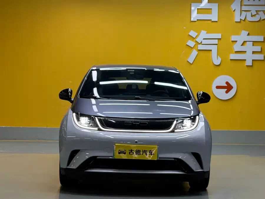 BYD Dolphin