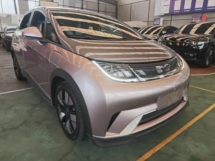 BYD Dolphin