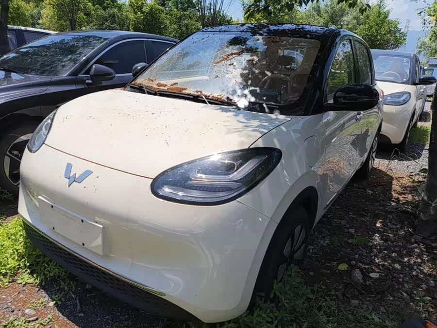 Wuling Bingo