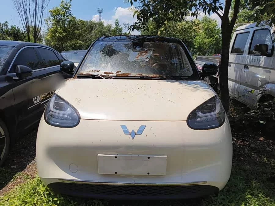 Wuling Bingo