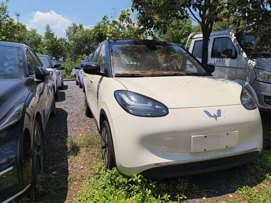Wuling Bingo