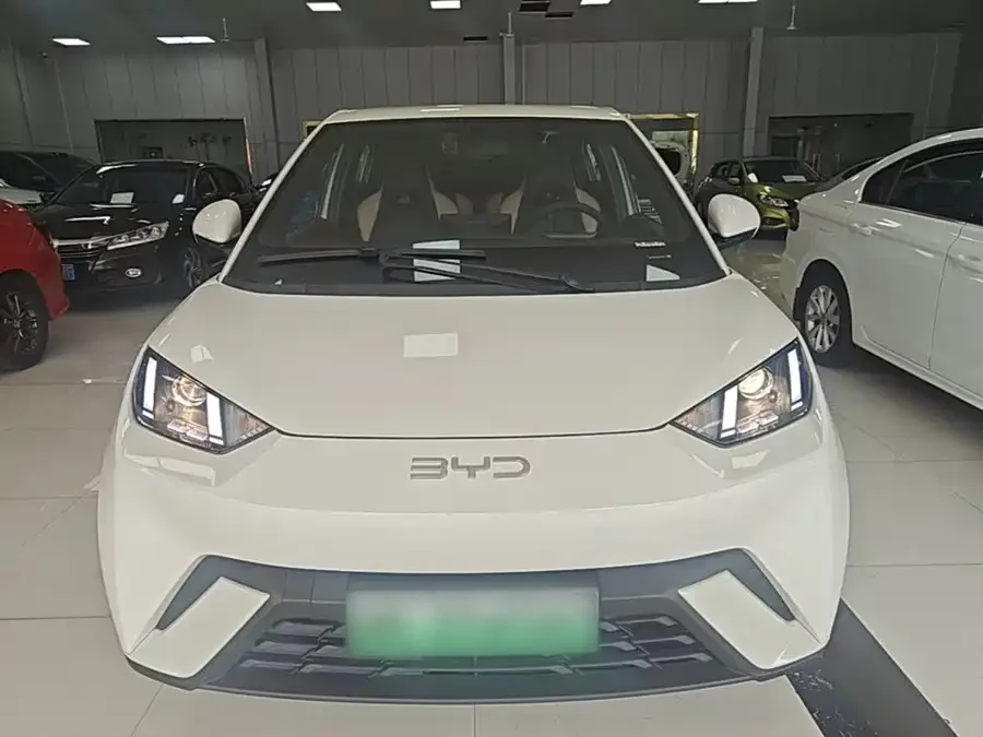 BYD Seagull