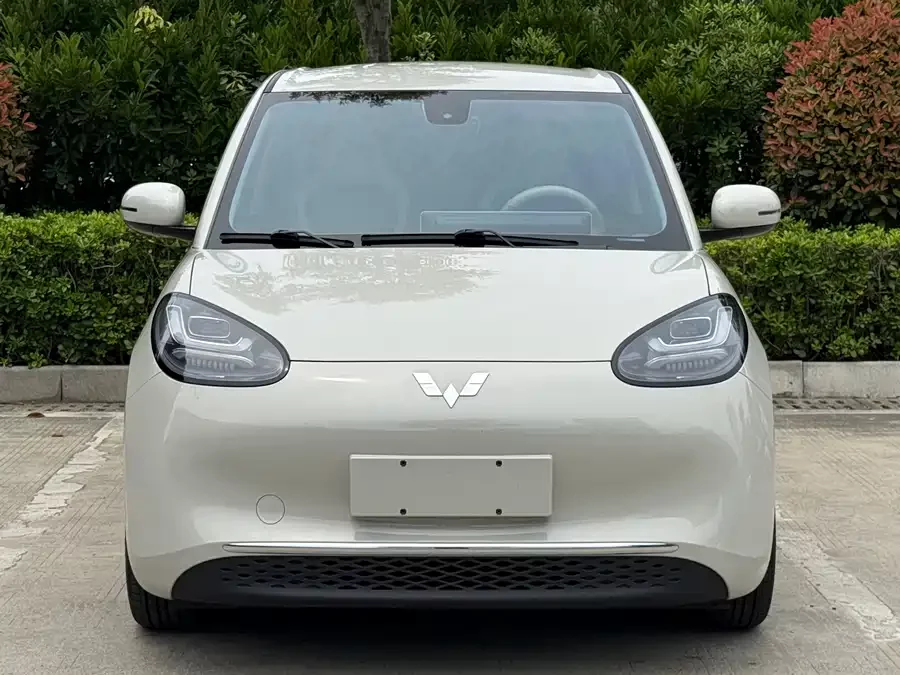 Wuling Bingo
