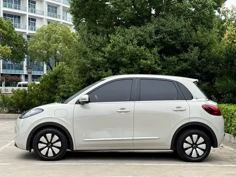 Wuling Bingo