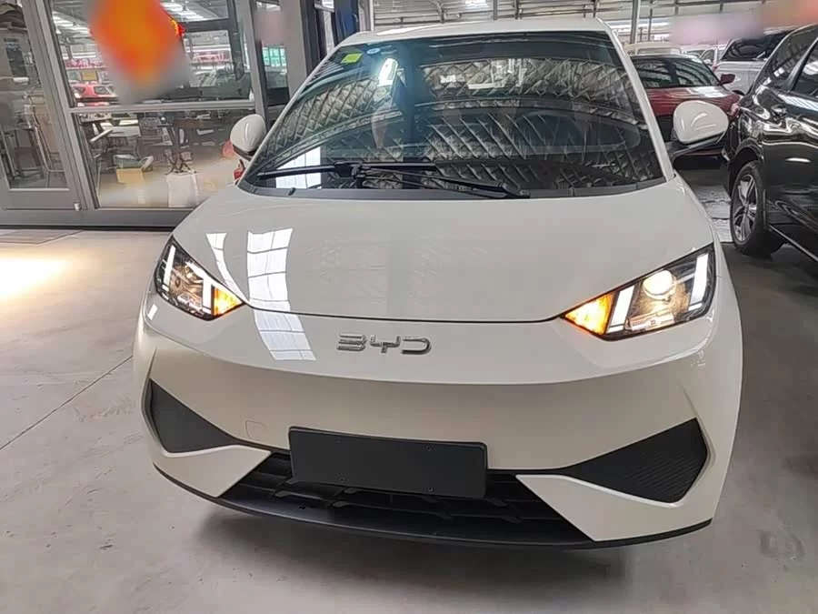 BYD Seagull