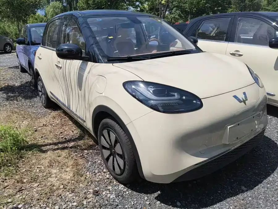Wuling Bingo