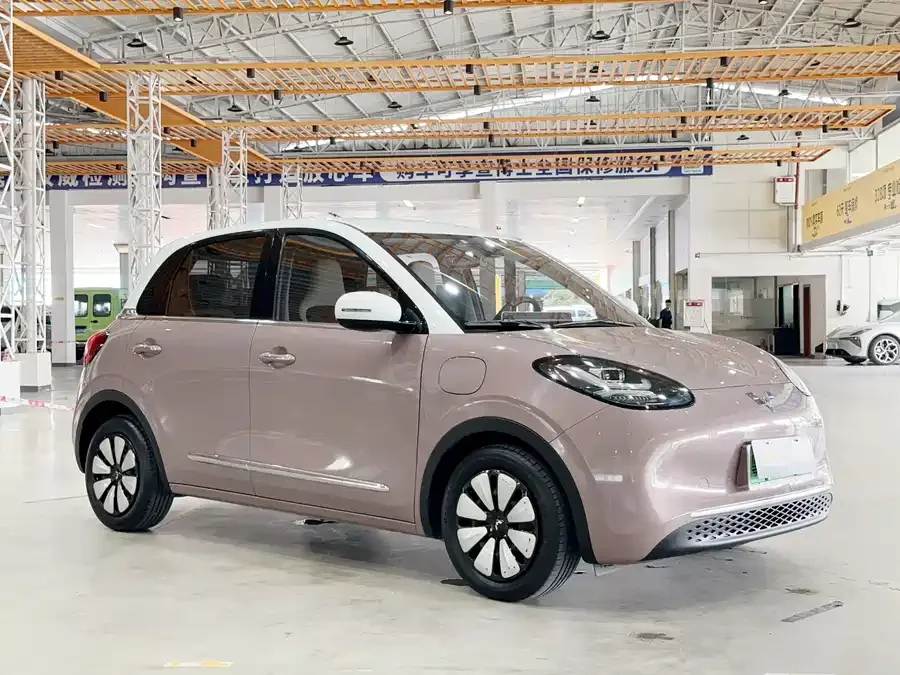Wuling Bingo