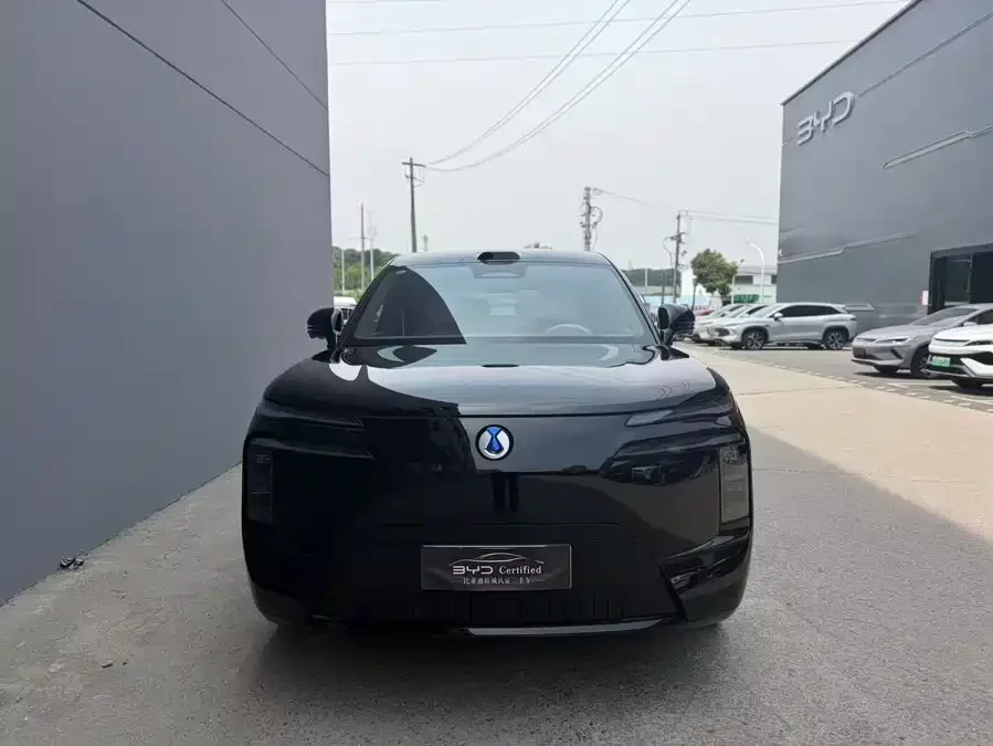 BYD N8L