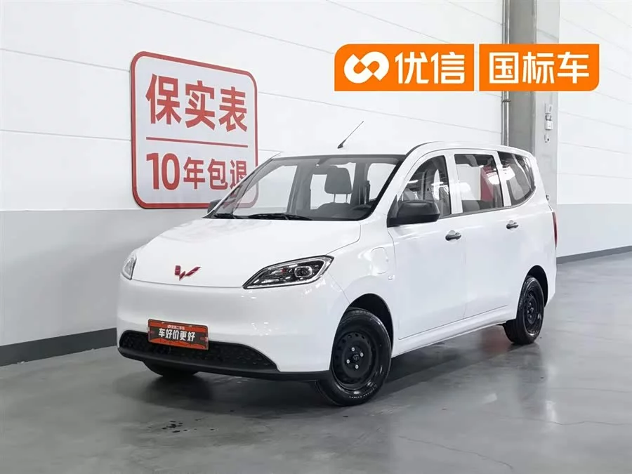 Wuling Hongguang New Energy