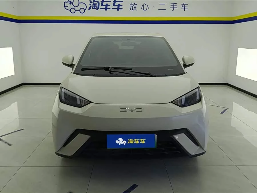 BYD Seagull
