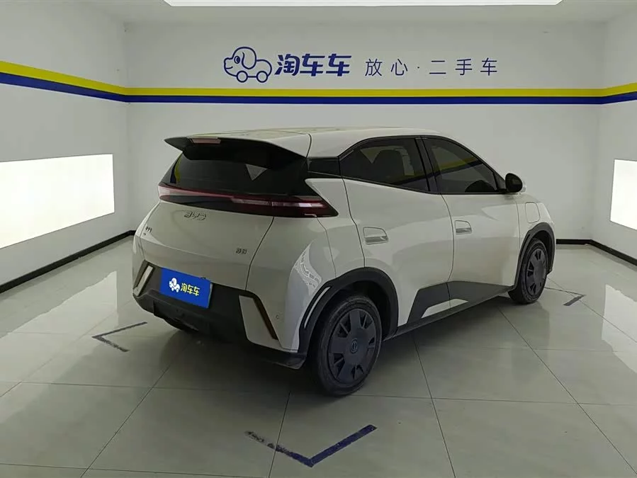 BYD Seagull