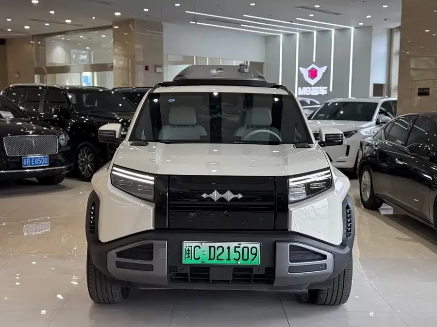 BYD Leopard Titanium 3