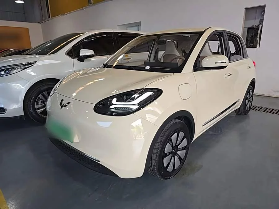 Wuling Bingo
