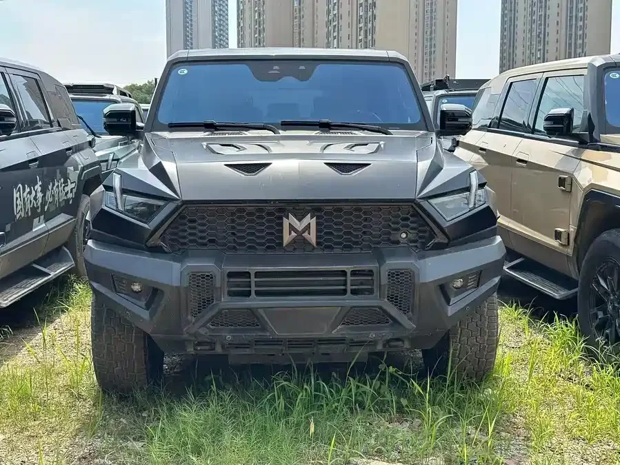 Mengshi 917