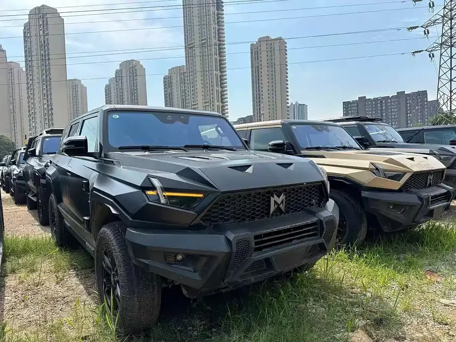 Mengshi 917