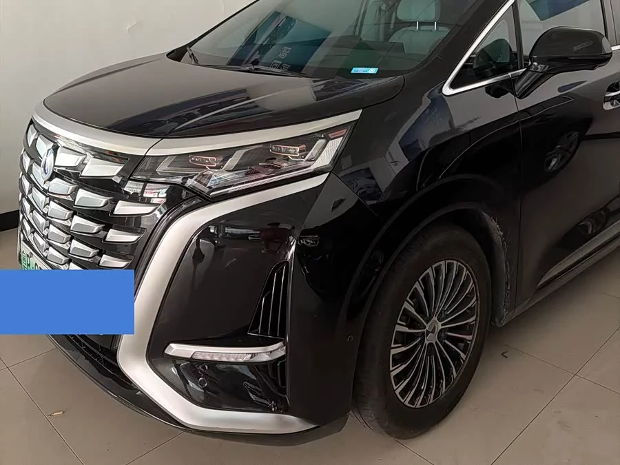 BYD D9